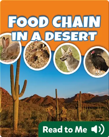 Food Chain In A Desert book