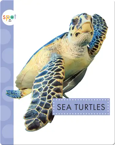 Sea Turtles book