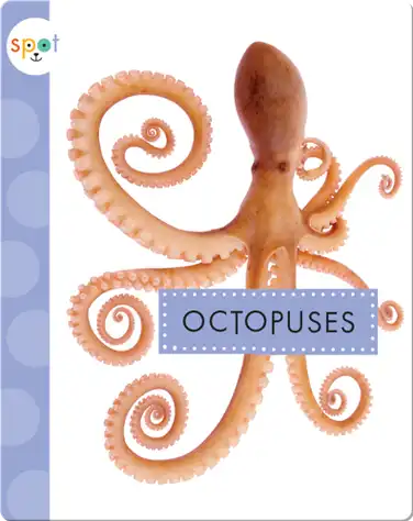 Octopuses book