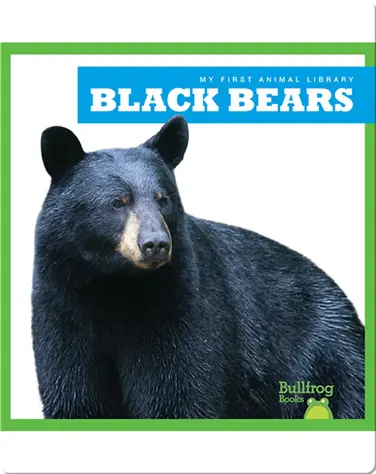 Black Bears book