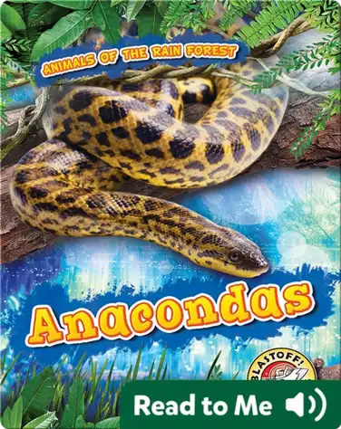 Anacondas book