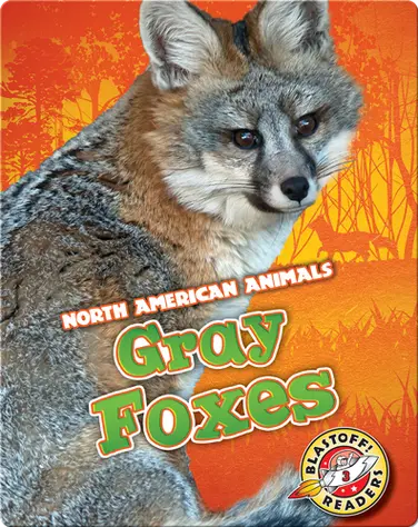 Gray Foxes book