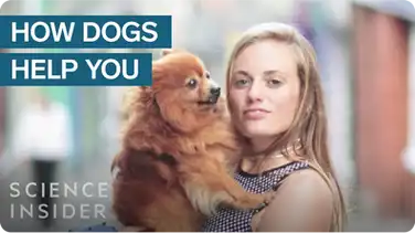 What Having A Dog Does To Your Brain And Body book