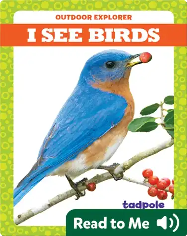 I See Birds book