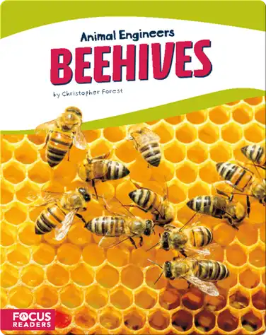 Animal Engineers: Beehives book