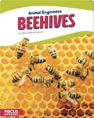 Animal Engineers: Beehives