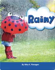 Rainy