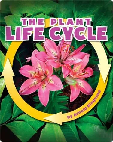 The Plant Life Cycle book