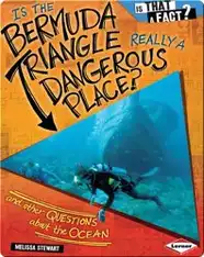 Is the Bermuda Triangle Really a Dangerous Place?