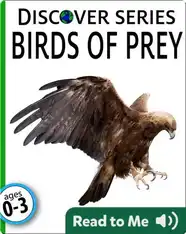 Birds of Prey