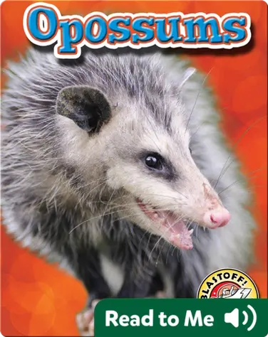 Opossums: Backyard Wildlife book