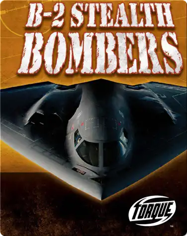 B-2 Stealth Bombers book