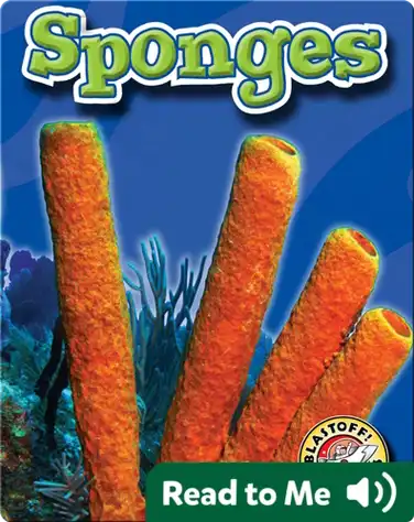 Sponges: Oceans Alive book