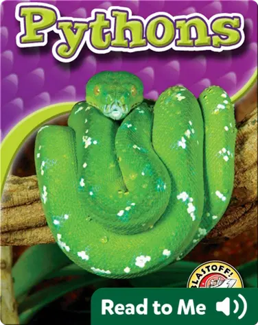Pythons: Snakes Alive book