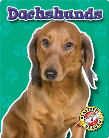 Dachshunds: Dog Breeds book