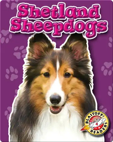 Shetland Sheepdogs: Dog Breeds book