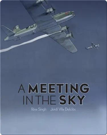 A Meeting in the Sky book