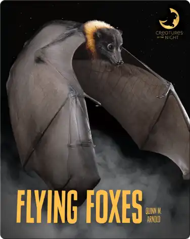 Flying Foxes book