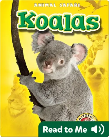 Koalas: Animal Safari book