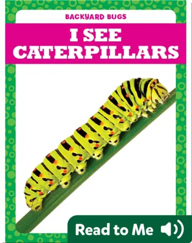 I See Caterpillars book