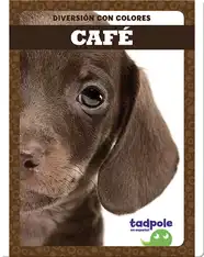 Diversión con colores: Café