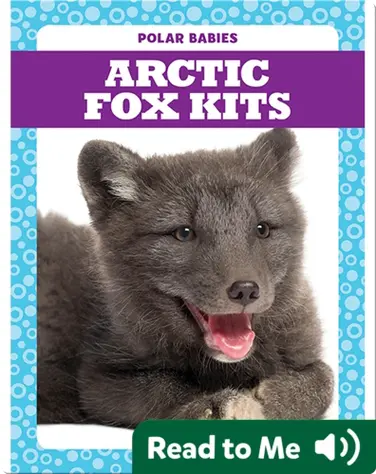 Polar Babies: Arctic Fox Kits book