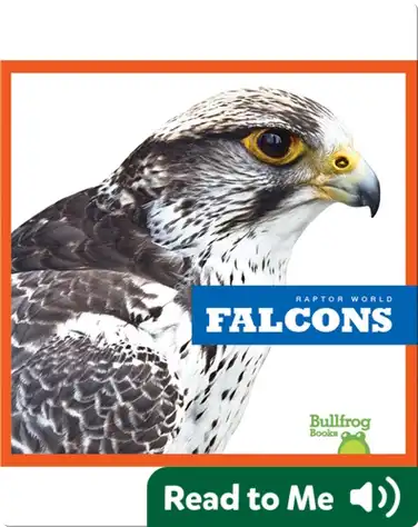 Raptor World: Falcons book