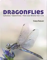 Dragonflies: Catching - Identifying - How and Where They Live