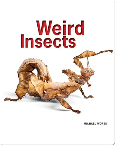 Weird Insects book