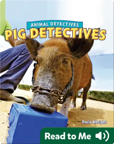 Pig Detectives book