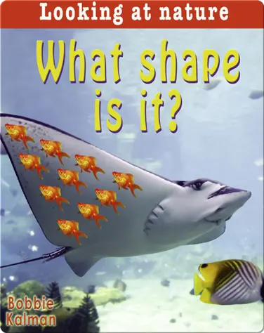 What Shape is it? book