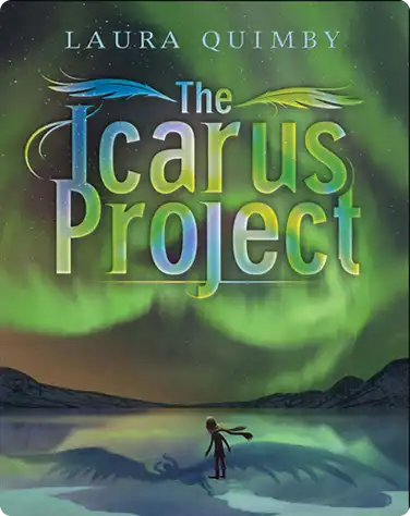 The Icarus Project book