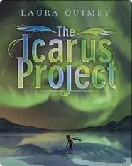 The Icarus Project