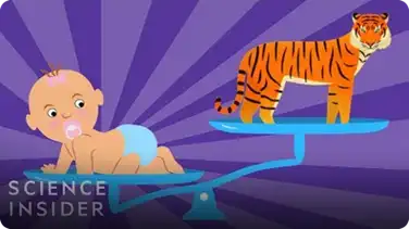 The Biggest Babies In The Animal Kingdom book