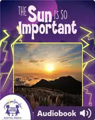The Sun Is so Important
