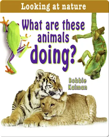What are these Animals Doing? book