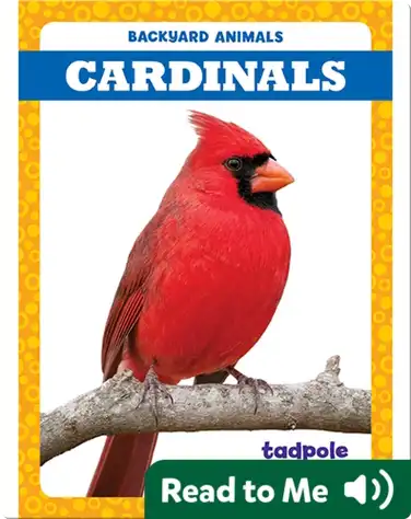 Backyard Animals: Cardinals book