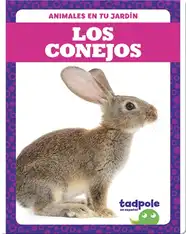 Los conejos
