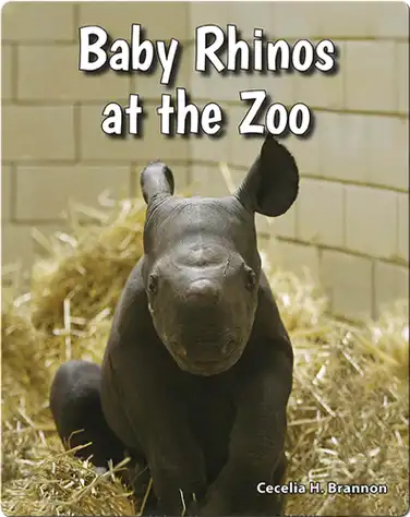 Baby Rhinos at the Zoo book