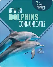 How Do Dolphins Communicate?