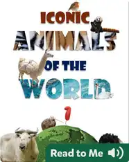 Iconic Animals of the World 1