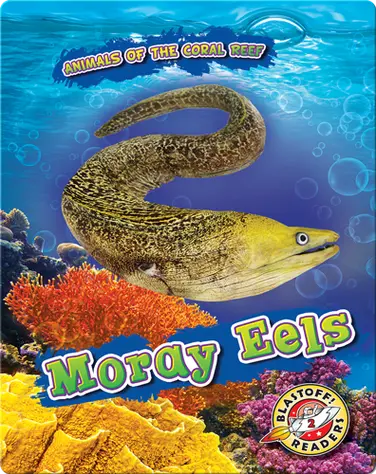 Animals of the Coral Reefs: Moray Eels book