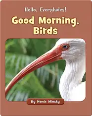 Hello, Everglades!: Good Morning, Birds