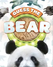 Guess The Bear