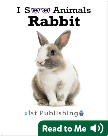 I See Animals: Rabbit book