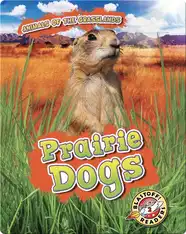 Animals of the Grasslands: Prairie Dogs
