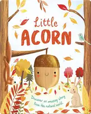 Little Acorn