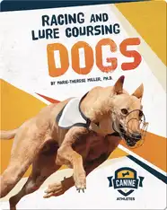Canine Athletes: Racing and Lure Coursing Dogs