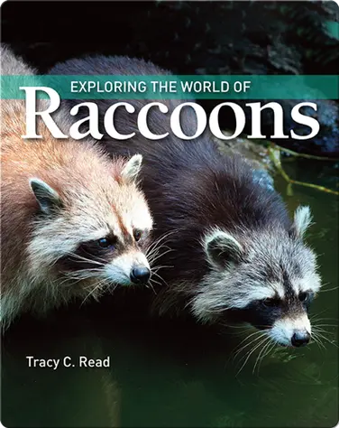 Exploring the World of Raccoons book