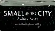 Small in the City